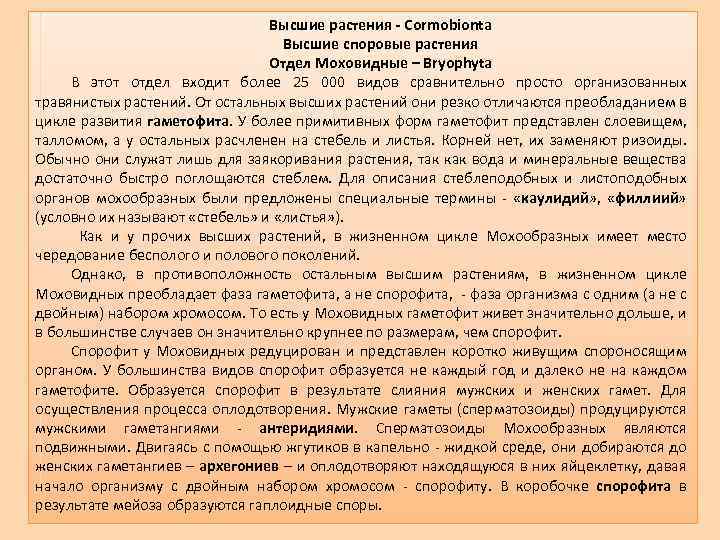 Высшие растения - Cormobionta Высшие споровые растения Отдел Моховидные – Bryophyta В этот отдел