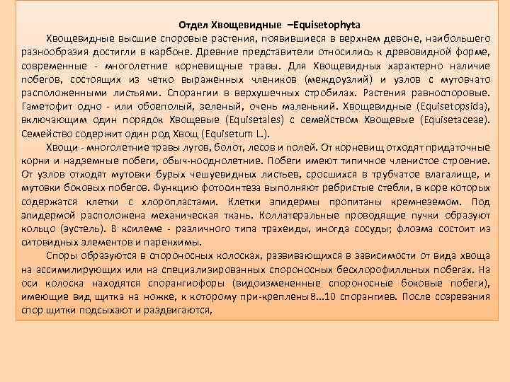 Отдел Хвощевидные –Еquisetophyta Хвощевидные высшие споровые растения, появившиеся в верхнем девоне, наибольшего разнообразия достигли
