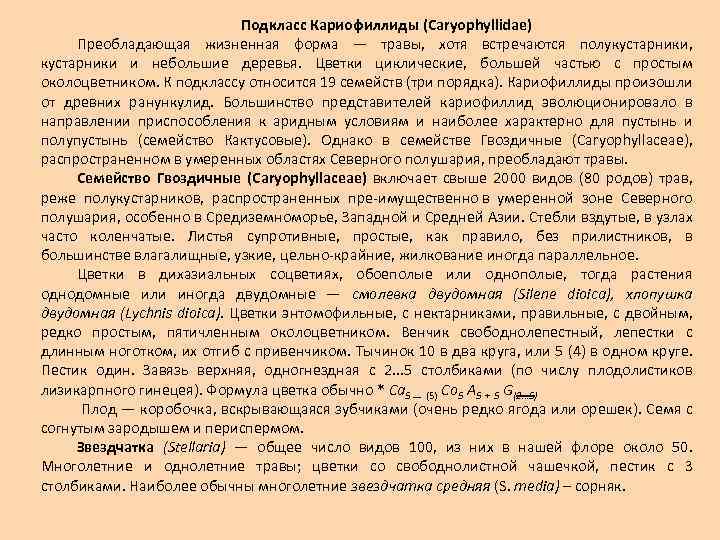 Подкласс Кариофиллиды (Caryophyllidae) Преобладающая жизненная форма — травы, хотя встречаются полукустарники, кустарники и небольшие