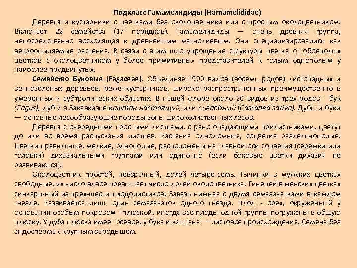 Подкласс Гамамелидиды (Hamamelididae) Деревья и кустарники с цветками без околоцветника или с простым околоцветником.