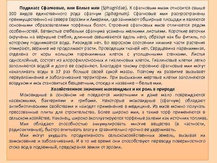 Подкласс Сфагновые, или Белые мхи (Sphagnidае). К сфагновым мхам относится свыше 300 видов единственного