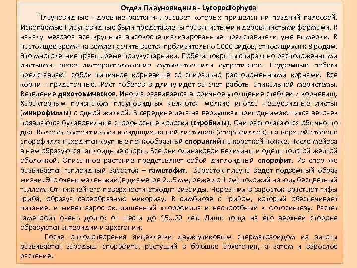 Отдел Плауновидные - Lycopodiophyda Плауновидные древние растения, расцвет которых пришелся ни поздний палеозой. Ископаемые