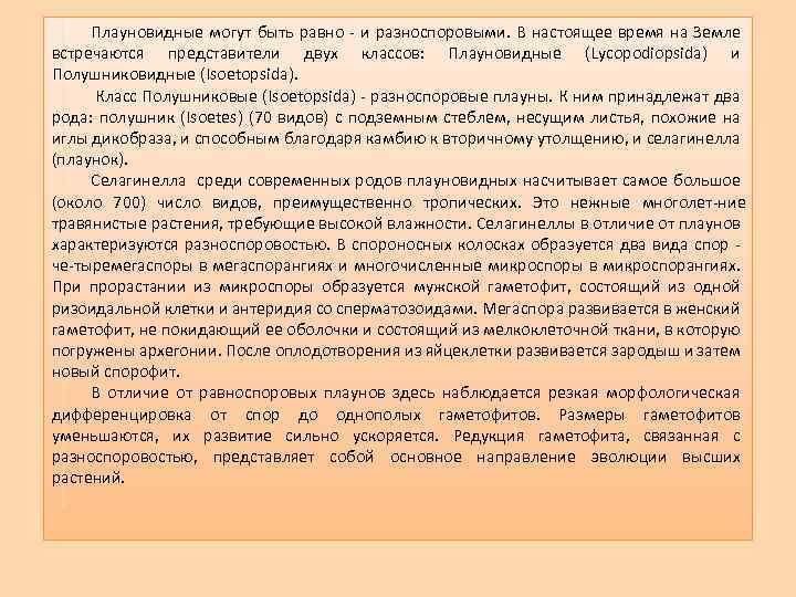 Плауновидные могут быть равно и разноспоровыми. В настоящее время на Земле встречаются представители двух