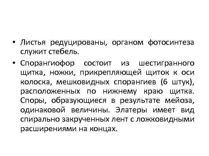  • Листья редуцированы, органом фотосинтеза служит стебель. • Спорангиофор состоит из шестигранного щитка,