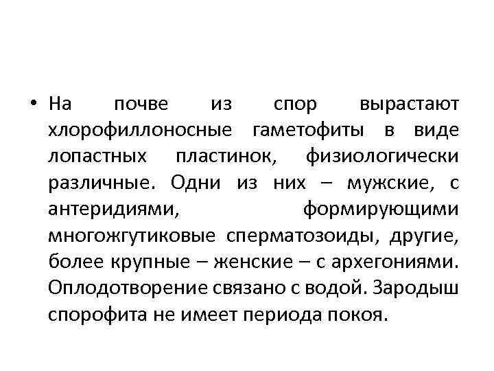  • На почве из спор вырастают хлорофиллоносные гаметофиты в виде лопастных пластинок, физиологически