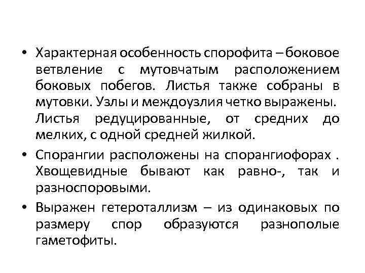  • Характерная особенность спорофита – боковое ветвление с мутовчатым расположением боковых побегов. Листья