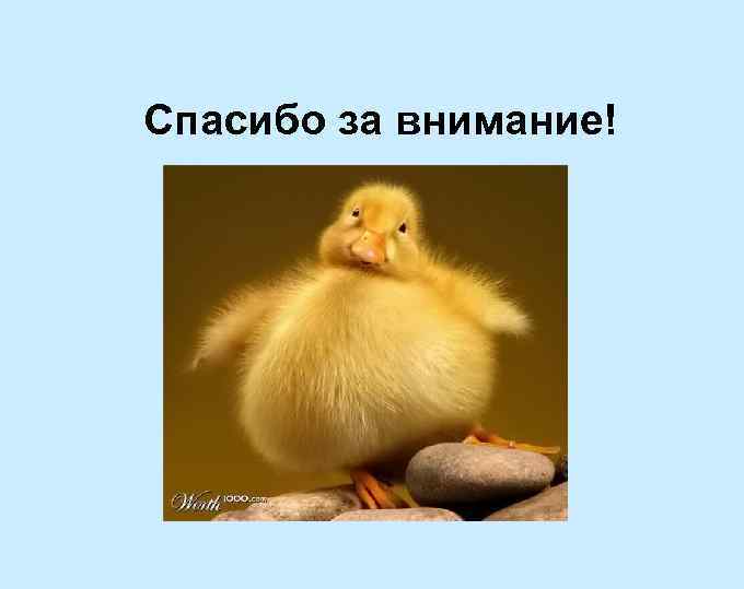 Спасибо за внимание! 