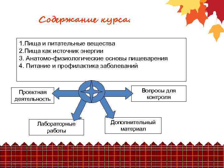 Содержание курса. 1. Пища и питательные вещества 2. Пища как источник энергии 3. Анатомо-физиологические