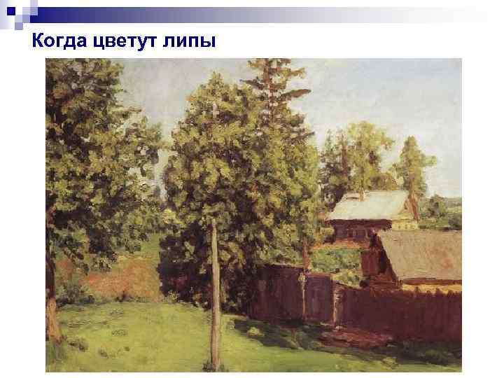 Когда цветут липы 