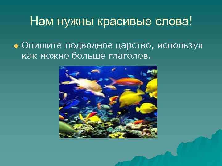 Нам нужны красивые слова! u Опишите подводное царство, используя как можно больше глаголов. 