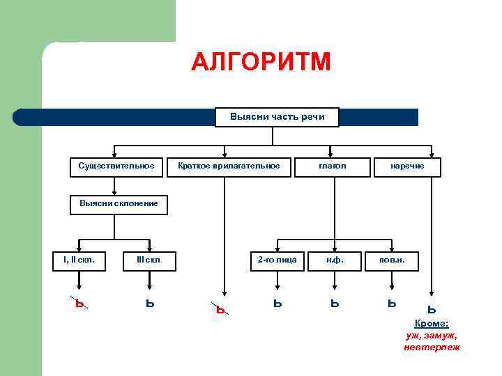 АЛГОРИТМ Выясни часть речи Существительное Краткое прилагательное глагол наречие Выясни склонение I, II скл.