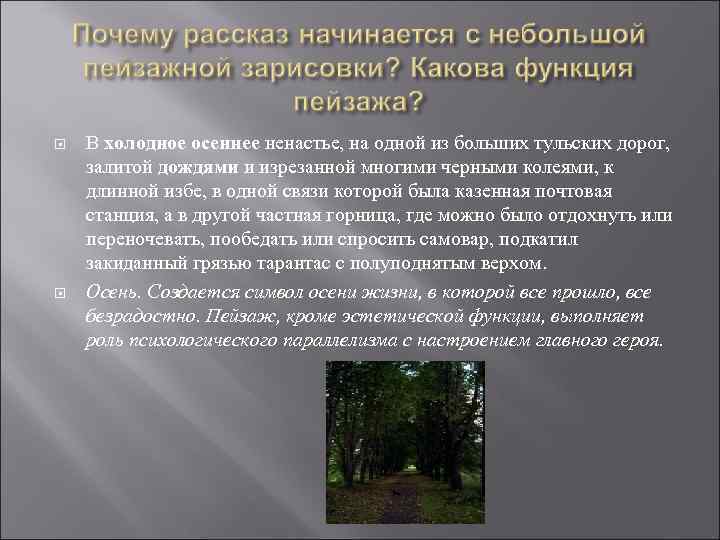  В холодное осеннее ненастье, на одной из больших тульских дорог, залитой дождями и