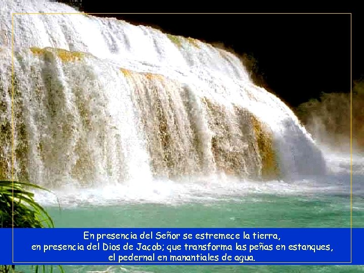 En presencia del Señor se estremece la tierra, en presencia del Dios de Jacob;