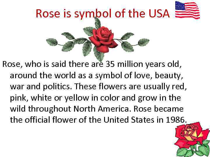 Rose is symbol of the USA Rose, who is said there are 35 million