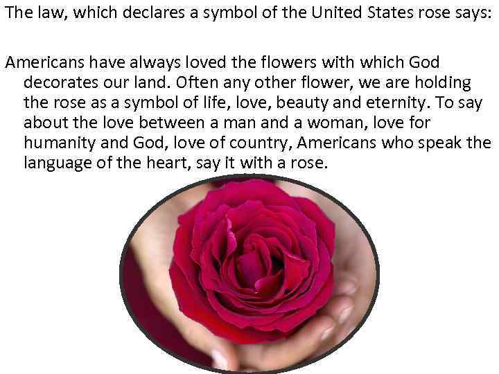 The law, which declares a symbol of the United States rose says: Americans have