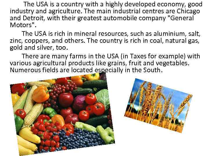  The USA is a country with a highly developed economy, good industry and