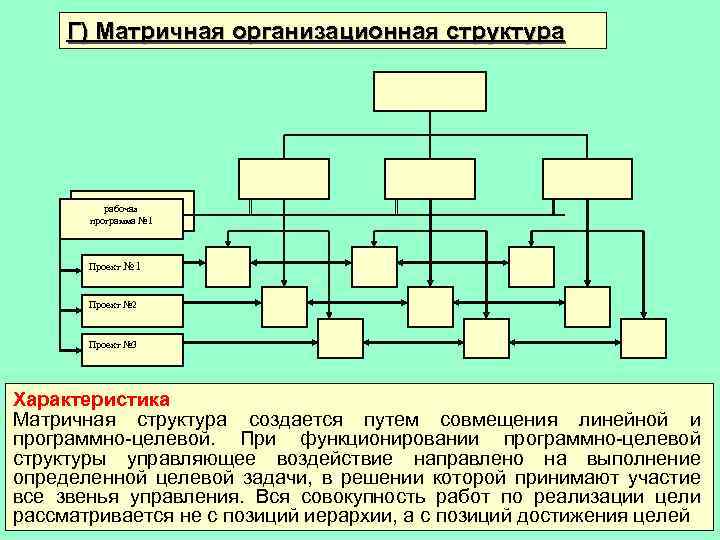 Временная организационная структура создаваемая для решения конкретной задачи выполнения проекта это