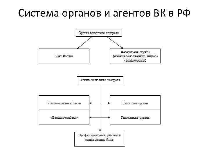 Система органов и агентов ВК в РФ 