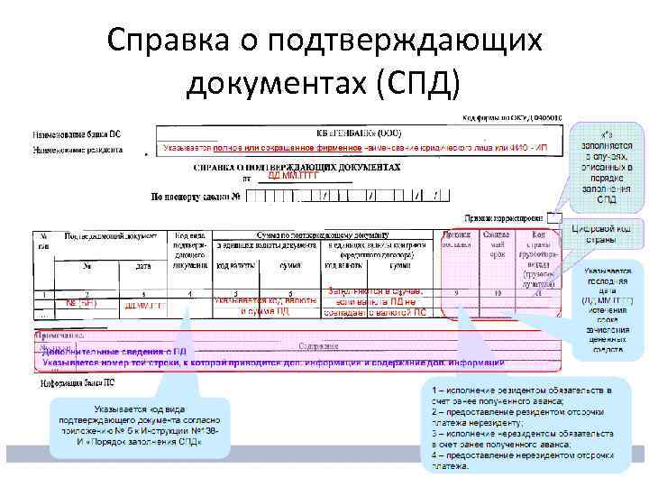 Сведения о валютных операциях образец