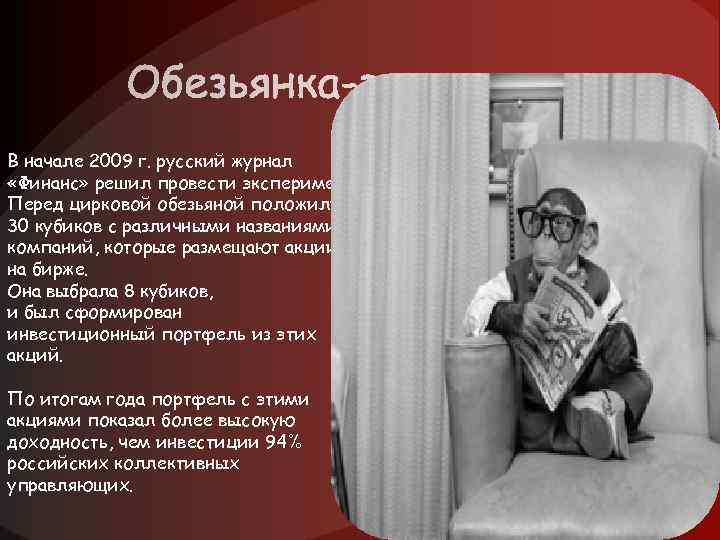 В начале 2009 г. русский журнал «Финанс» решил провести эксперимент. Перед цирковой обезьяной положили