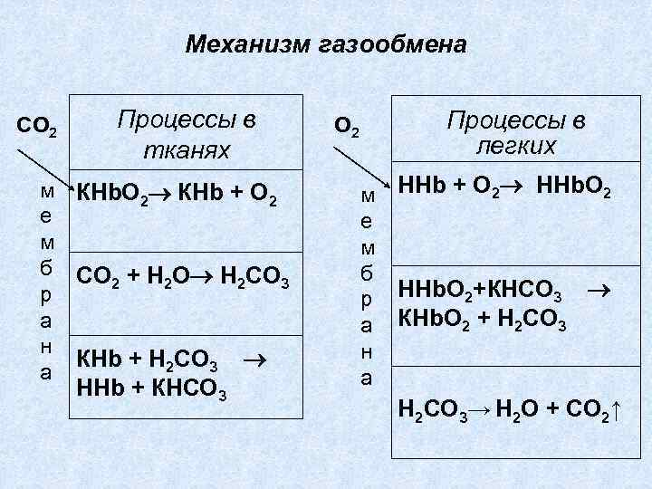 Механизм газообмена СО 2 Процессы в тканях м КНb. О 2 КНb + О