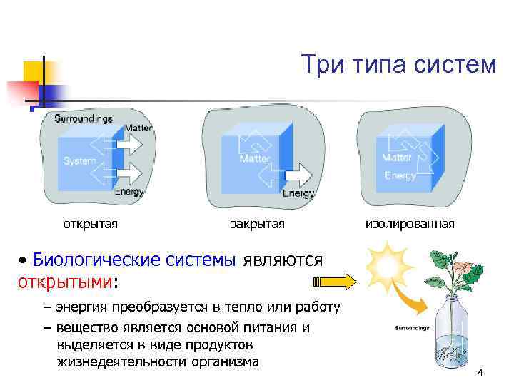 Термодинамика открытых систем