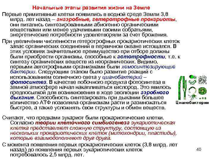 Начальные этапы возникновения жизни. Начальные этапы развития жизни. Стадии возникновения жизни. Основные этапы возникновения жизни. Начальные этапы эволюции жизни.