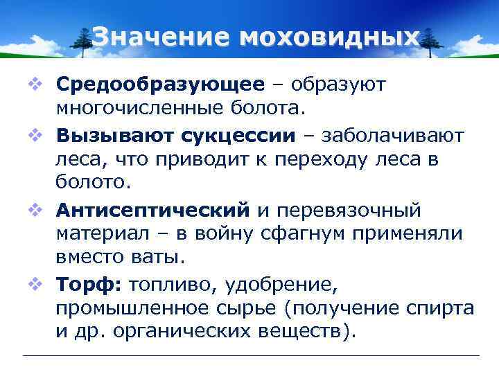 Значение моховидных v Средообразующее – образуют многочисленные болота. v Вызывают сукцессии – заболачивают леса,
