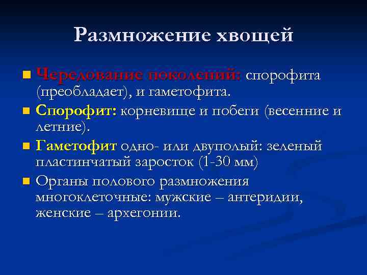 Преобладающие поколение. Преобладающее поколение у хвощей. Преобладание поколений и отдел плаунообразные. Хвощевидные спорофит и гаметофит. Преобладающее поколение.