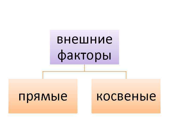 внешние факторы прямые косвеные 