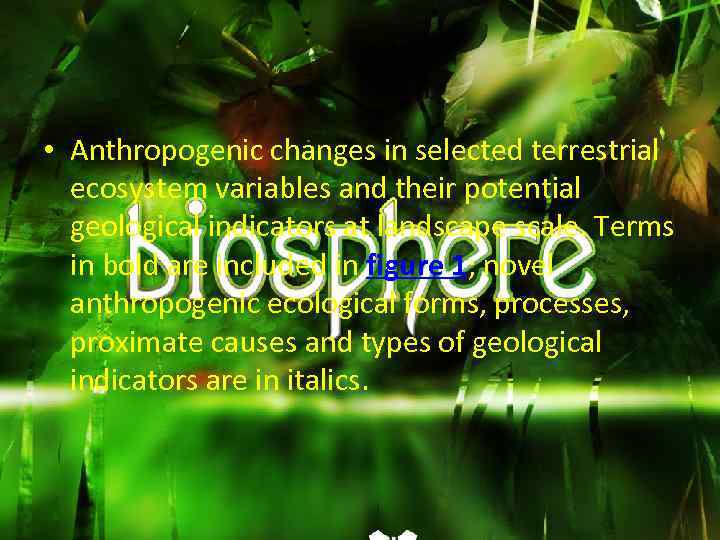  • Anthropogenic changes in selected terrestrial ecosystem variables and their potential geological indicators