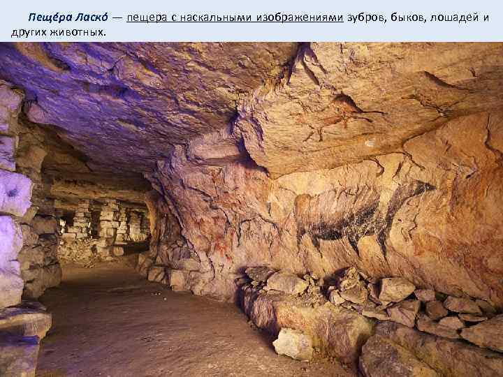  Пещéра Ласкó — пещера с наскальными изображениями зубров, быков, лошадей и других животных.