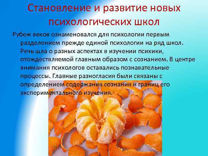 Становление и развитие новых психологических школ Рубеж веков ознаменовался для психологии первым разделением прежде