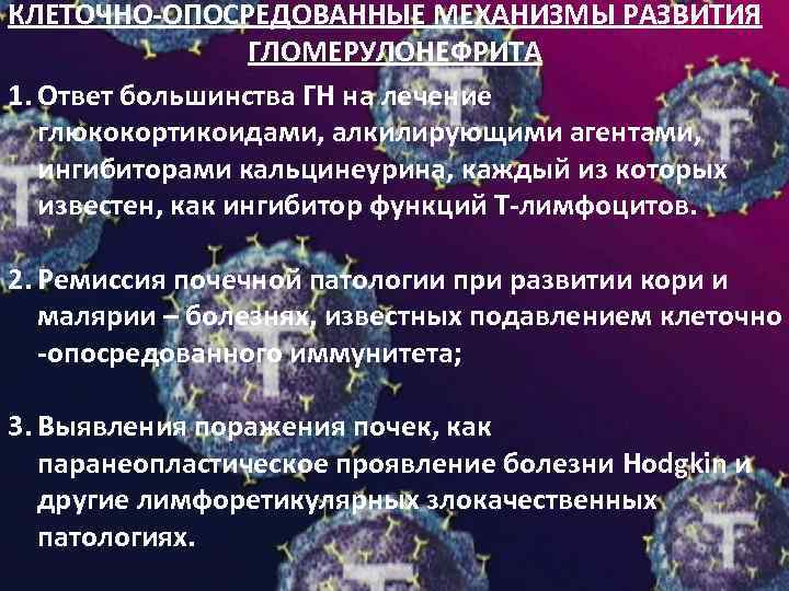 КЛЕТОЧНО-ОПОСРЕДОВАННЫЕ МЕХАНИЗМЫ РАЗВИТИЯ ГЛОМЕРУЛОНЕФРИТА 1. Ответ большинства ГН на лечение глюкокортикоидами, алкилирующими агентами, ингибиторами