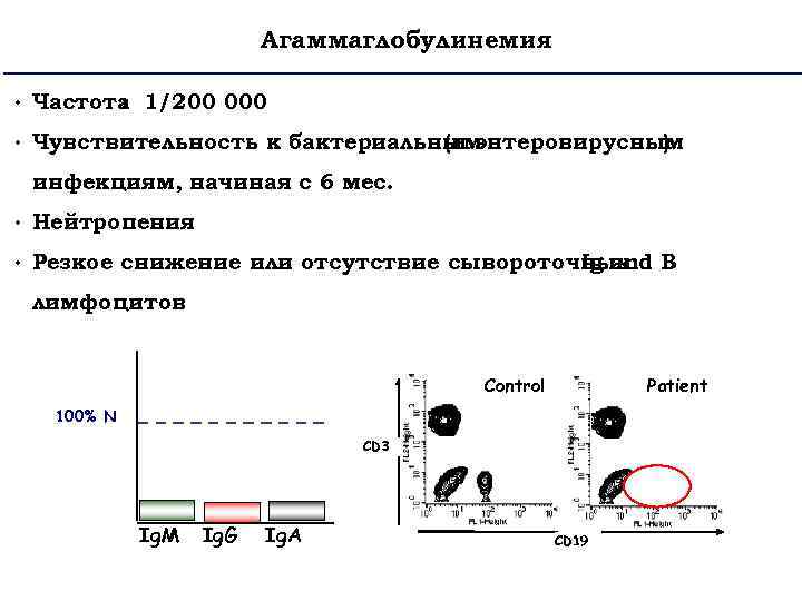 Агаммаглобулинемия • Частота 1/200 000 : • Чувствительность к бактериальным (и энтеровирусным ) инфекциям,