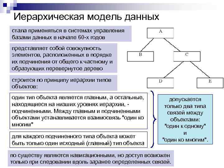 Иерархическая модель данных стала применяться в системах управления базами данных в начале 60 -х