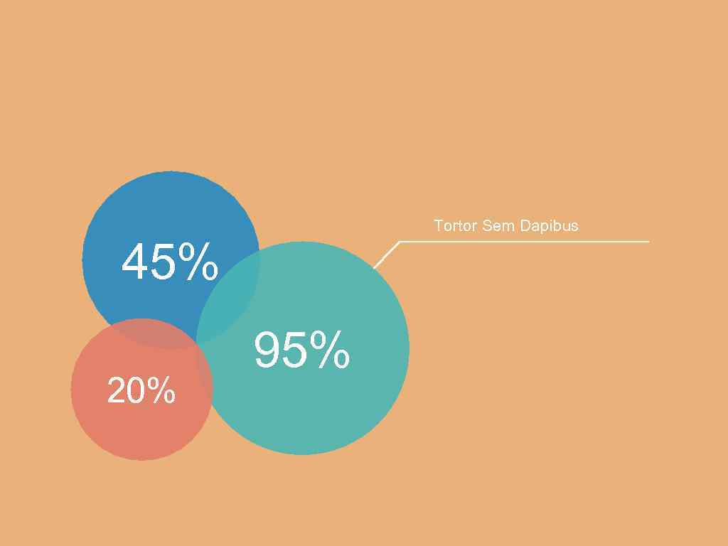 Tortor Sem Dapibus 45% 20% 95% 