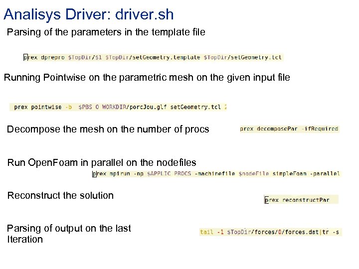 Analisys Driver: driver. sh Parsing of the parameters in the template file Running Pointwise