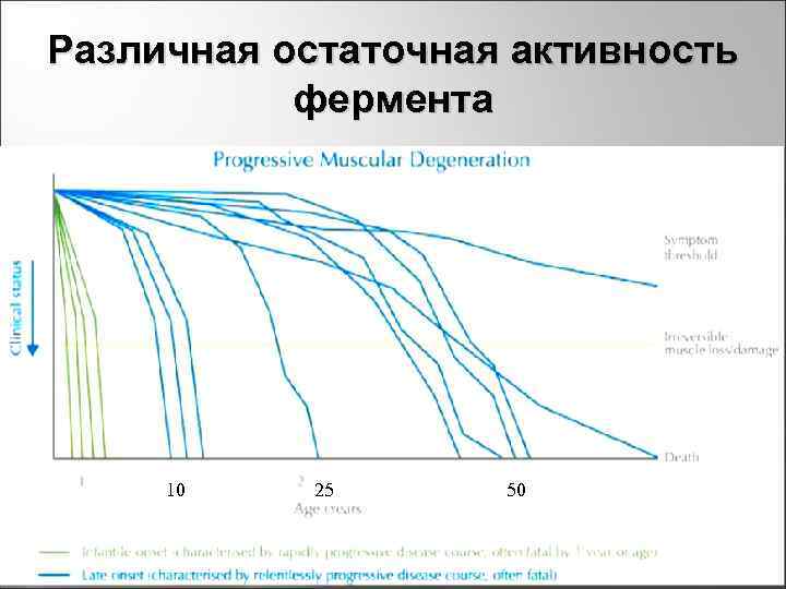Различная остаточная активность фермента 10 25 50 