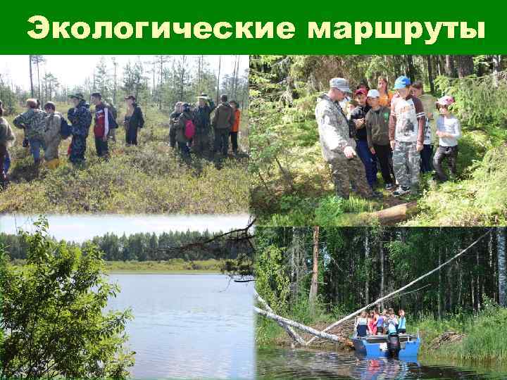 Экологические маршруты 