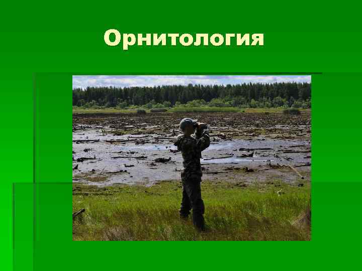 Орнитология 