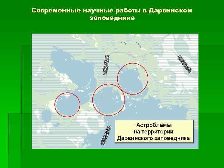 Современные научные работы в Дарвинском заповеднике 