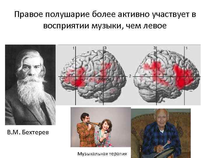Правое полушарие более активно участвует в восприятии музыки, чем левое В. М. Бехтерев Музыкальная