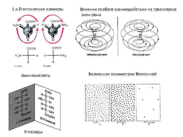 L и D оптические изомеры Аминокислоты Углеводы Влияние слабого взаимодействия на траекторию электрона Барионная