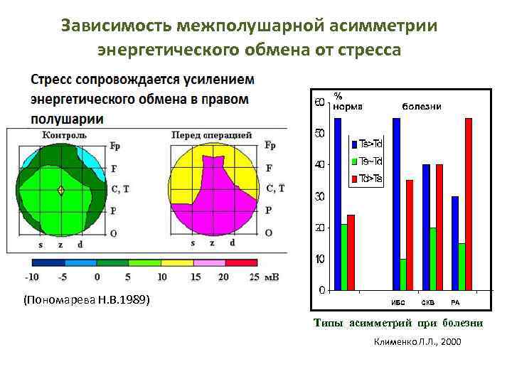 Зависимость межполушарной асимметрии энергетического обмена от стресса (Пономарева Н. В. 1989) Типы асимметрий при
