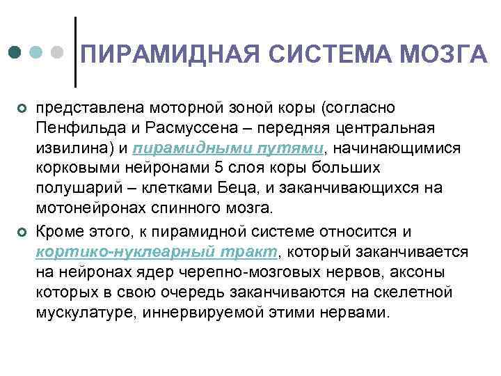 ПИРАМИДНАЯ СИСТЕМА МОЗГА ¢ ¢ представлена моторной зоной коры (согласно Пенфильда и Расмуссена –