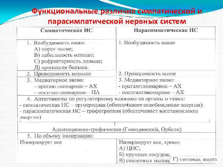Функциональные различия симпатической и парасимпатической нервных систем 