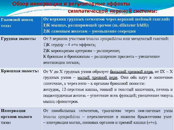 Обзор иннервации и регуляторные эффекты симпатической нервной системы: Головной конец тела: От верхних грудных