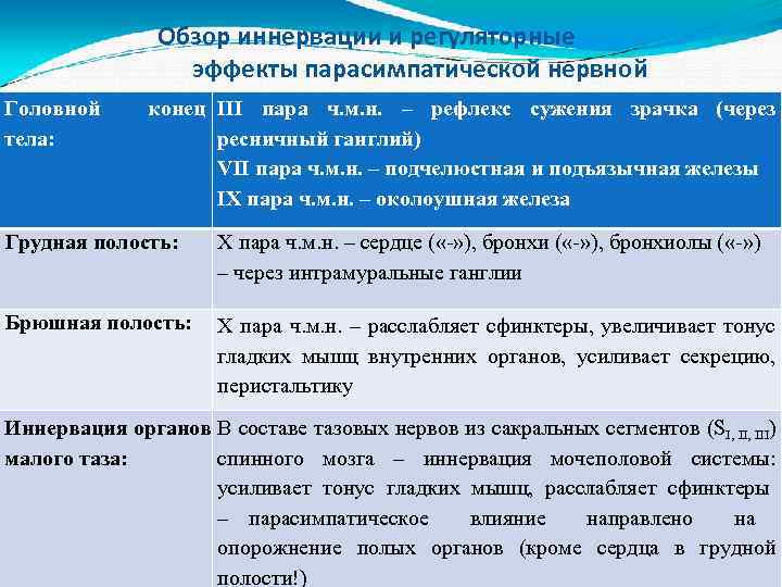 Головной тела: Обзор иннервации и регуляторные эффекты парасимпатической нервной системы: конец III пара ч.