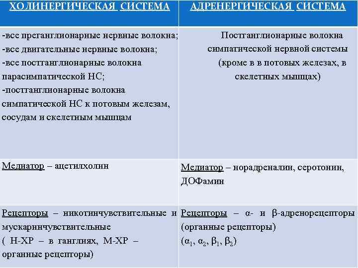 ХОЛИНЕРГИЧЕСКАЯ СИСТЕМА -все преганглионарные нервные волокна; -все двигательные нервные волокна; -все постганглионарные волокна парасимпатической